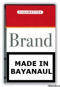 Made in Bayanaul