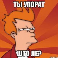 ты упорат што ле?