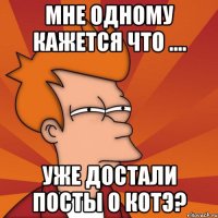 мне одному кажется что .... уже достали посты о котэ?