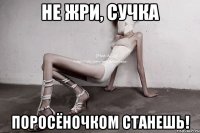 не жри, сучка поросёночком станешь!