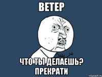 ветер что ты делаешь? прекрати