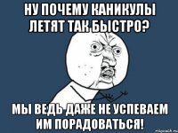 ну почему каникулы летят так быстро? мы ведь даже не успеваем им порадоваться!