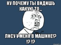 ну почему ты видишь какую то... лису у меня в машине!? !? !?