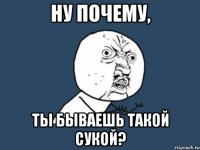 ну почему, ты бываешь такой сукой?