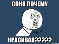 соня почему красивая???