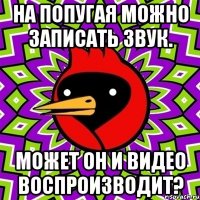 на попугая можно записать звук. может он и видео воспроизводит?