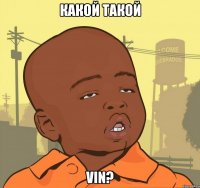 какой такой vin?