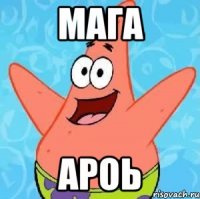 мага ароь