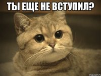 ты еще не вступил? 