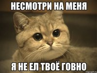 несмотри на меня я не ел твоё говно