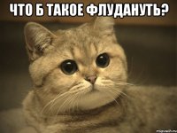 что б такое флудануть? 