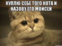 куплю себе того кота и назову его моисей 