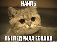 наиль ты педрила ебаная