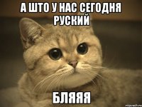 а што у нас сегодня руский бляяя