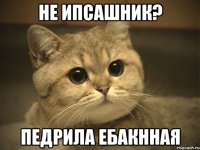 не ипсашник? педрила ебакнная