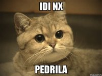 idi nx pedrila