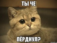 ты че пёрднул?