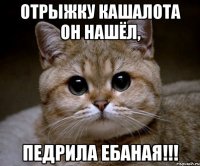 отрыжку кашалота он нашёл, педрила ебаная!!!