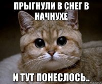 прыгнули в снег в начнухе и тут понеслось..