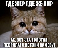 где же? где же он? ах, вот эта толстая педрила! и не гони на севу!