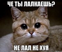 че ты лалкаешь? не лал не хуя