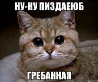 ну-ну пиздаеюб гребанная