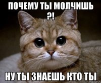 почему ты молчишь ?! ну ты знаешь кто ты