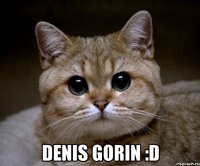  denis gorin :d