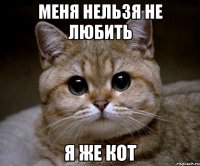 меня нельзя не любить я же кот