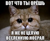 вот что ты орёшь я же не целую вселенную носрал