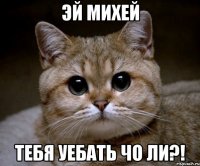 эй михей тебя уебать чо ли?!