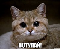  вступай!