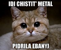 idi chistit' metal pidrila ebanyj