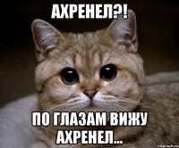 ахренел?! по глазам вижу ахренел...