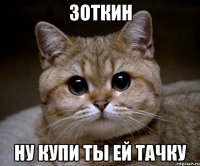 зоткин ну купи ты ей тачку