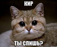 кир ты спишь?