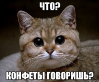 что? конфеты говоришь?