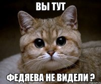 вы тут федяева не видели ?