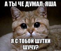 а ты че думал, яша я с тобой шутки шучу?