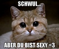 schwul... aber du bist sexy <3