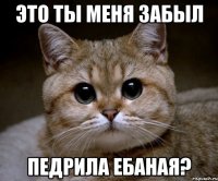 это ты меня забыл педрила ебаная?