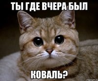 ты где вчера был коваль?