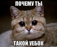 почему ты такой уебок