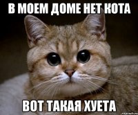 в моем доме нет кота вот такая хуета