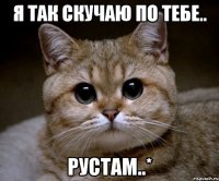 я так скучаю по тебе.. рустам..*