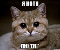 я котя лю тя**