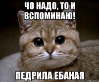 чо надо, то и вспоминаю! педрила ебаная