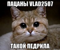 пацаны vlad2507 такой педрила