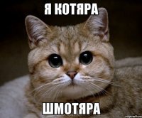 я котяра шмотяра