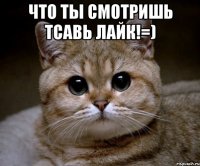 что ты смотришь тсавь лайк!=) 